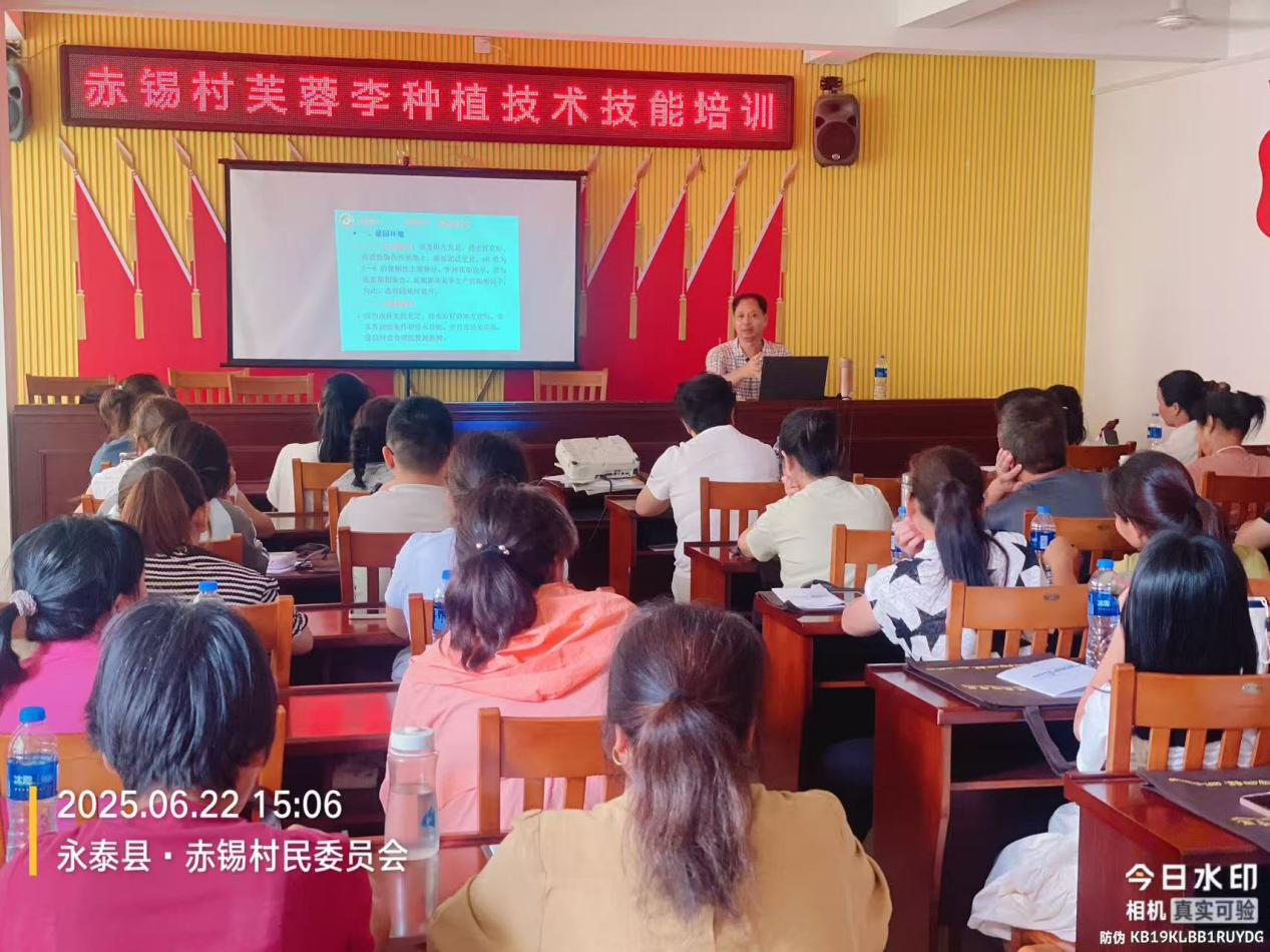 图片10.png